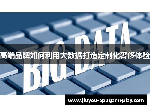 高端品牌如何利用大数据打造定制化奢侈体验